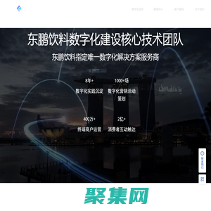 鹏智瑞-快消企业数字化解决方案服务商