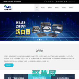 思科交换机_思科路由器_思科防火墙_IT设备维保_IT运维服务_网络设备维保服务-成都赛耐斯