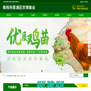 衡阳市蒸湘区农博禽业养殖孵化场 - 衡阳绿壳蛋鸡_衡阳快大型肉鸡_衡阳土鸡