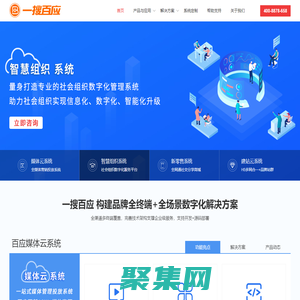 一搜百应-数字化营销服务平台-系统定制开发源码交付