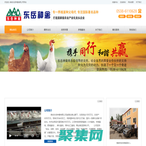 泰安东岳种禽有限公司
