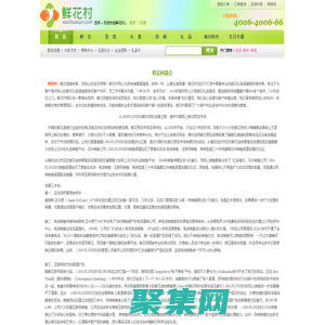 鲜花村-鲜花速递专家，您贴心的送花使者！