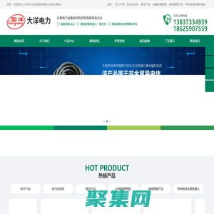大洋电力科技集团有限公司