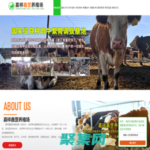 肉牛养殖_肉驴养殖_本地厂家供应_嘉祥鑫罡养殖场_官网