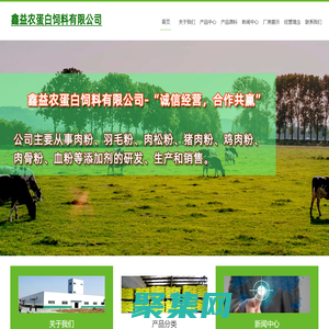 肉粉|羽毛粉|水解羽毛粉|血粉-鑫益农蛋白饲料有限公司