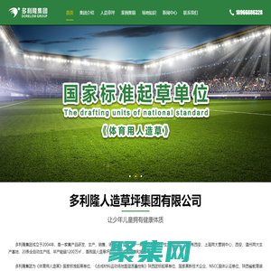 多利隆人造草坪集团有限公司