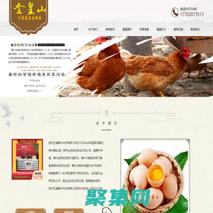 叶黄素鸡蛋不只是鸡蛋