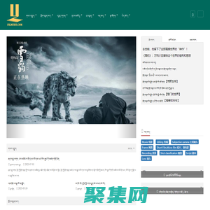 爱游戏(ayx)中国官方网站