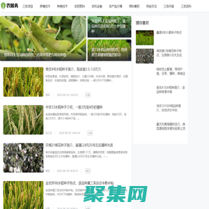 农服务 - 造福百姓，服务三农，共享发展