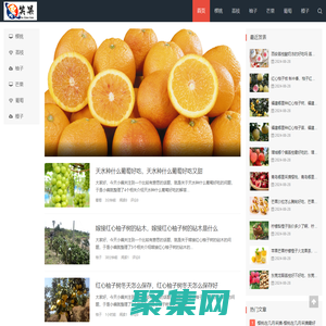 粟笑果,新鲜直达