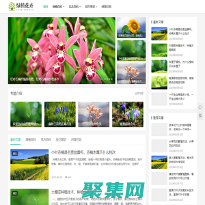 常见绿植花卉如何种植,植物百科,花卉寓意_迪奥克绿植花卉