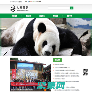 大熊猫网