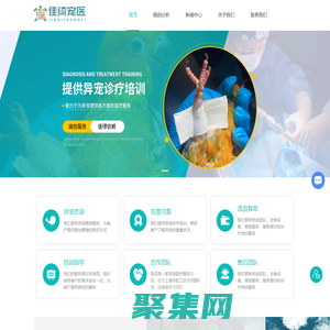 异宠医疗-异宠培训-异宠售卖-异宠诊疗培训-上海佳绮宠物服务医疗有限公司
