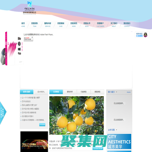 中国美术学院望境创意发展有限公司