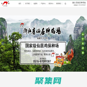 浙江省仙居种鸡场，仙居鸡，种鸡