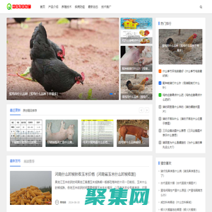 云南省种畜推广中心-优良种畜,种禽,选育,培育奶牛,肉牛,肉鸽,猪,鸡,牧草