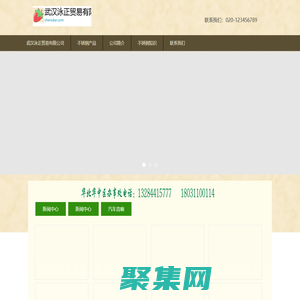 武汉泳正贸易有限公司