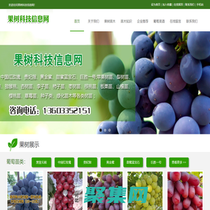 葡萄苗木|果树苗木_果树科技信息网
