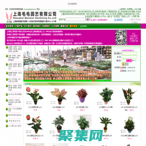 毛毛园艺盆栽网