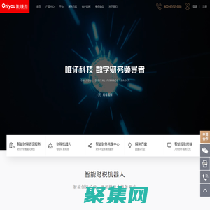 唯你科技-数字财务领导者