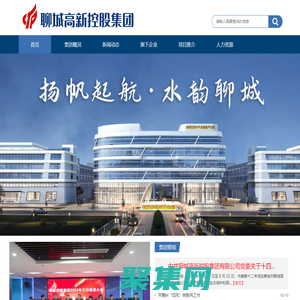 聊城高新控股集团有限公司