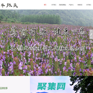 河南牛抵头药食同源饮品有限公司