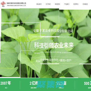 安徽丰絮农业科技股份有限公司【官网】