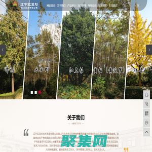 皮皮鲲下载站_免费绿色软件_手机应用商店