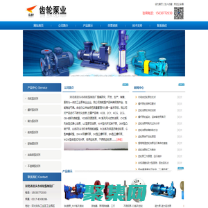 齿轮泵|齿轮油泵|螺杆泵|泊头齿轮泵-河北省泊头市齿轮泵制造厂