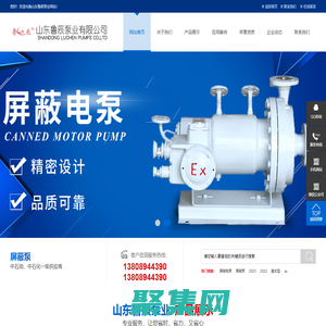 屏蔽泵-化工屏蔽泵-屏蔽电泵-山东鲁辰泵业有限公司