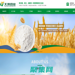 开封市-天源面业-面粉-开封市天源面业有限公司