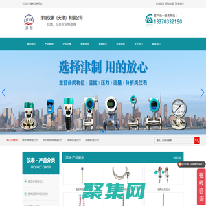 磁致伸缩液位计-缆式磁致伸缩液位计-磁耦合液位计-津制