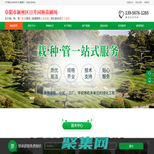 阜阳市颍州区日升园林苗圃场