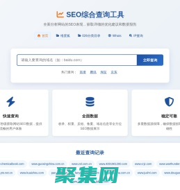 SEO综合查询工具 - 专业的网站SEO数据分析平台 | 网站权重查询 | 收录反链检测
