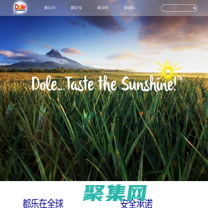 都乐中国 | 首页