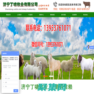 济宁丁啸牧业有限公司-黄牛 小尾寒羊 肉牛羊调拨 肉牛 肉羊 种兔 獭兔 肉兔  西门塔尔  夏洛莱牛 利木赞牛 波尔山羊