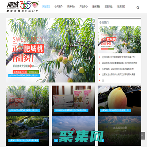 肥城生活网-肥城365天,天天快乐。 - www.feicheng365.com