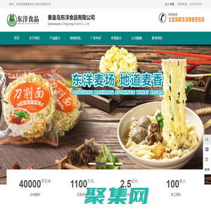 山东快网_建站宝盒_域名_主机_网站建设_营销方案