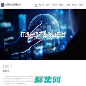 中江振鑫产业发展集团有限公司