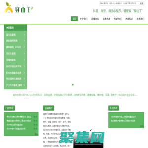 【穿山丁】-湖南应季水果_怀化水果特产.自家种植葡萄板栗_果园直采.一手鲜品