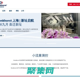 质量流量计_气体质量流量计_质量流量控制器-Bronkhorst - 布琅轲锶特