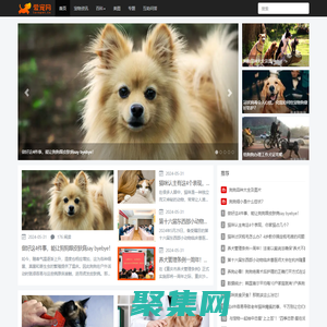 爱宠网 - 有爱有趣有用的宠物门户网站！