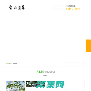 山东青岛蓝莓宝山基地｜微：a773857755｜蓝莓宝山鲜果｜百度推荐宝山蓝色基地优质服务公告2024已更-宝山蓝莓鲜果