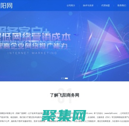 飞阳商务网公司介绍