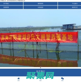 苏州市阳澄湖许氏大闸蟹公司 - 苏州市阳澄湖许氏大闸蟹有限公司