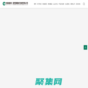 昆明醋酸纤维有限公司