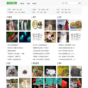 钩饵,飞蝇钓竿知识网_路亚技巧网