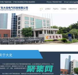 广东大龙电气官网