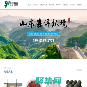 铁碳填料_微电解填料_臭氧催化剂厂家-山东森洋环境技术有限公司