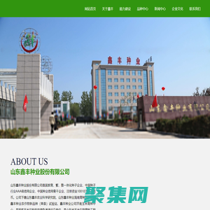 山东鑫丰种业股份有限公司_玉米杂交种,小麦良种